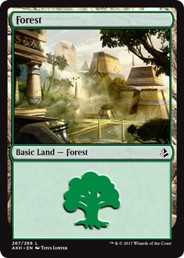 Forest 2