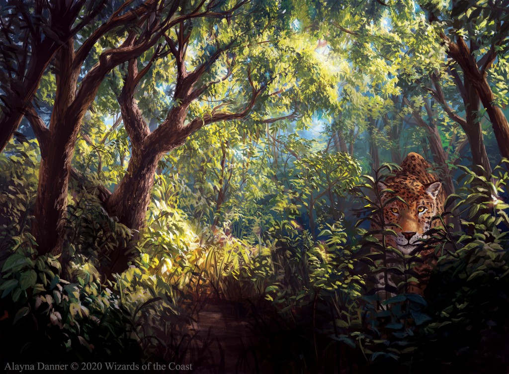 Forest MtG Art From Jumpstart Set By Alayna Danner Art Of Magic The 