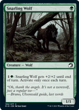 Snarling-Wolf