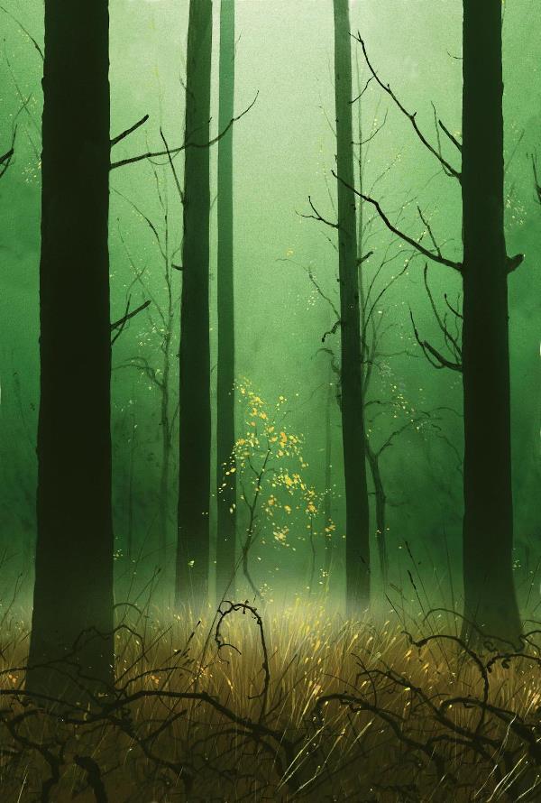Forest MtG Art from Unhinged Set by John Avon - Art of Magic