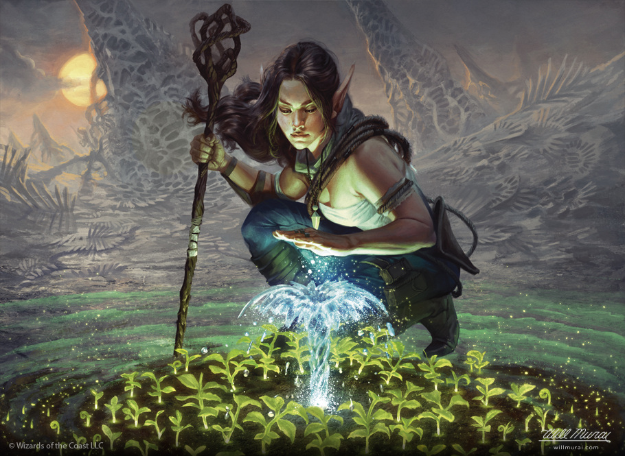 Lifespring Druid Mtg Art From Battle For Zendikar Set By Willian Murai