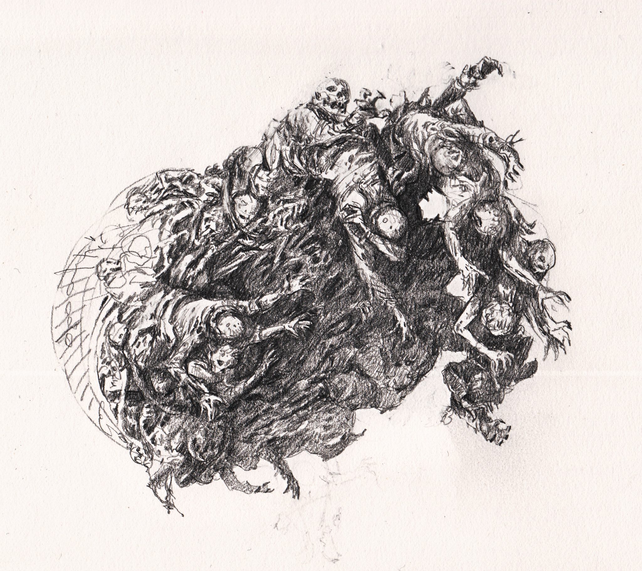 diregraf colossus