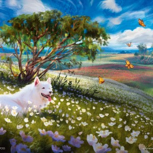 Plains