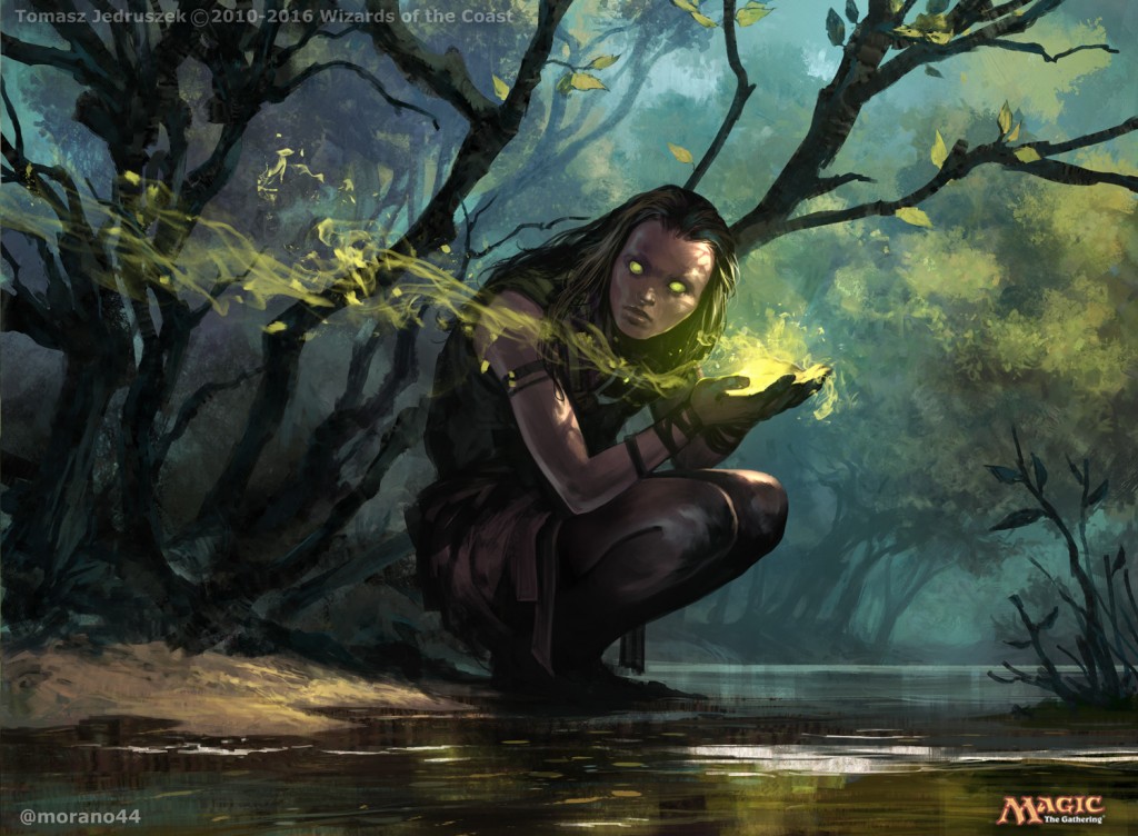 Primal Druid MtG Art From Eldritch Moon Set By Tomasz Jedruszek Art Primal Druid Eldritch Moon MtG Art 1024x752